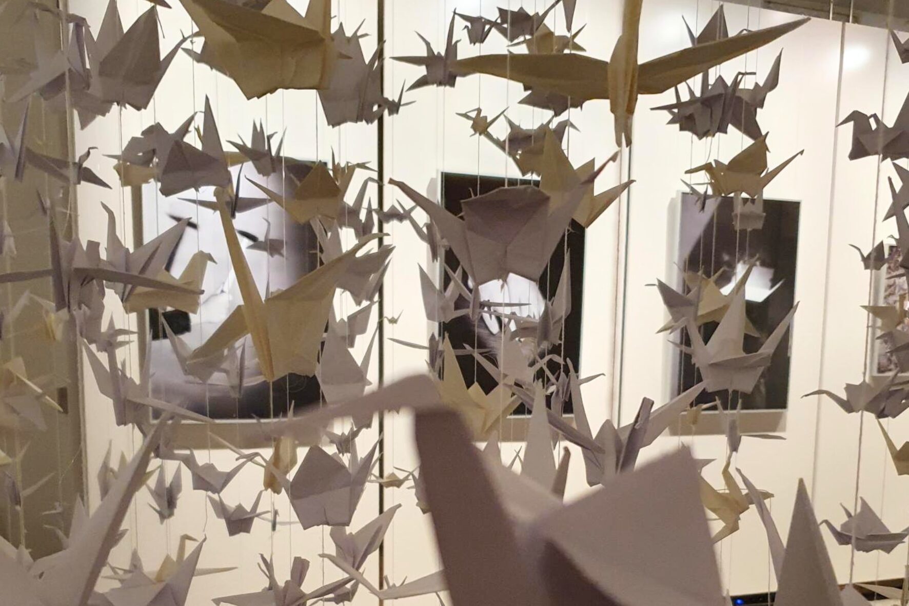 Weiße Origami-Kraniche als Friedensinstallation, Diözesanmuseum St. Afra Augsburg