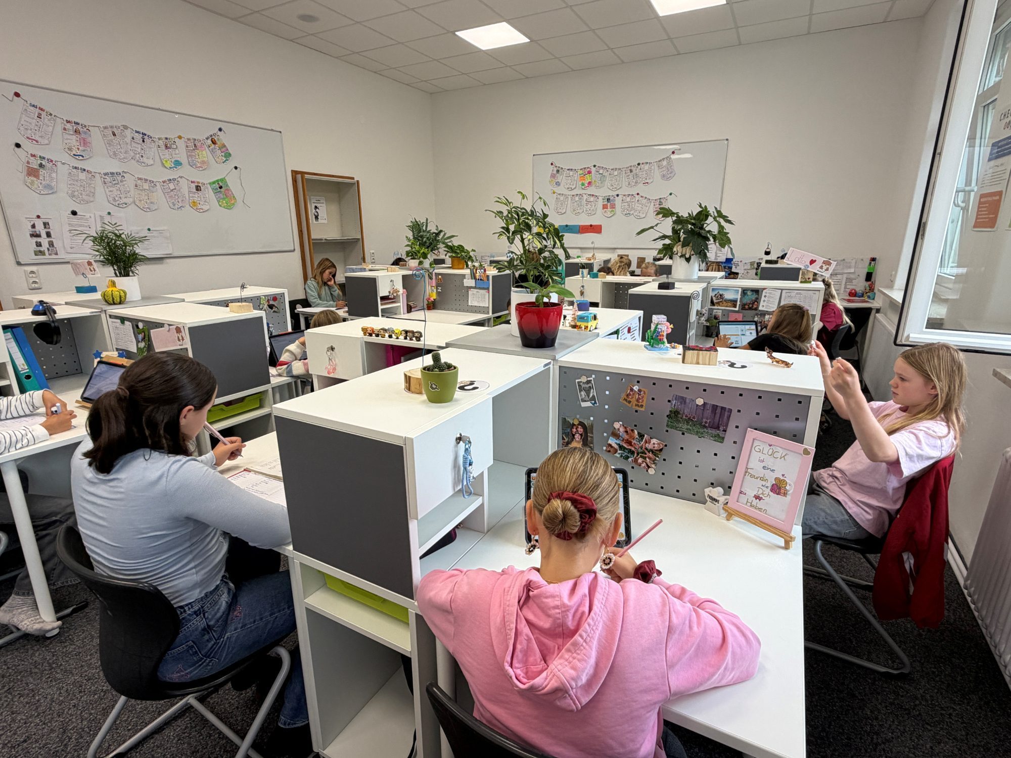 Lernumgebung: STUDY, HUB & INPUT