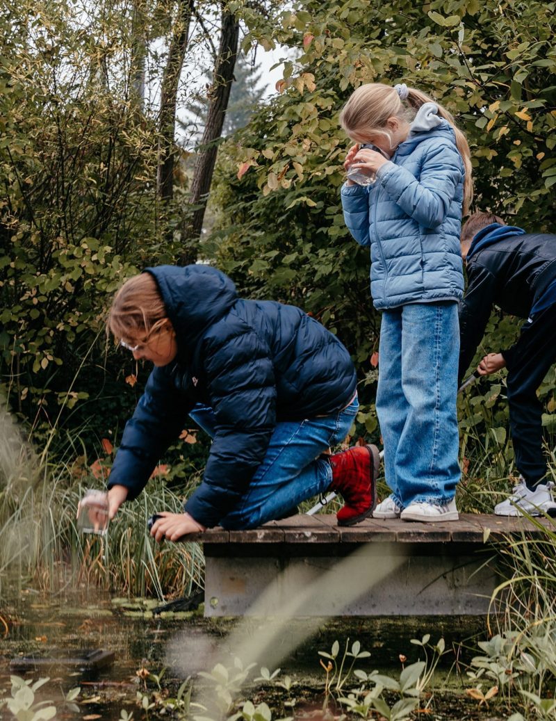 Schülerinnen bei der Naturforschung am Teich, Schulwerk der Diözese Augsburg